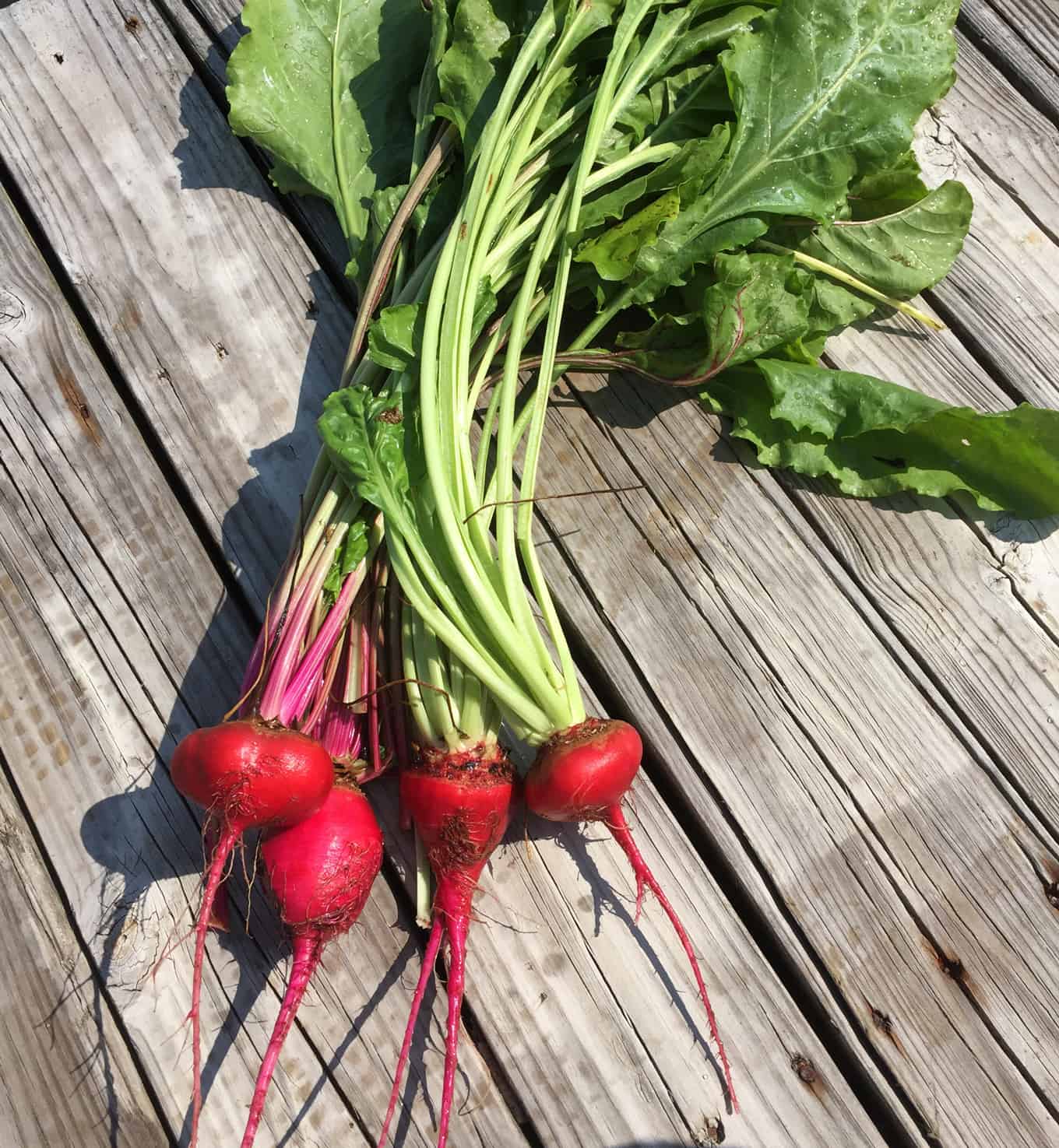 beet greens and beet root