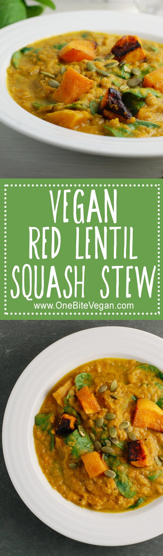 Vegan Red Lentil Squash Stew | One Bite Vegan