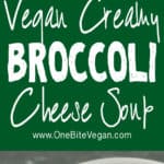 Creamy vegan broccoli cheese soup. Made with broccoli, onions, carrots, celery, soy milk, and cashew cream. Sprinkle vegan cheese for an extra cheesy soup.