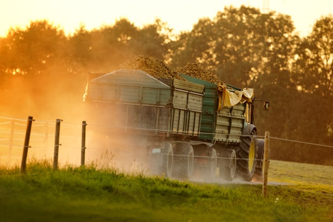 potatoes in a farm truck