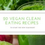 20 Vegan Clean Eating Recipes