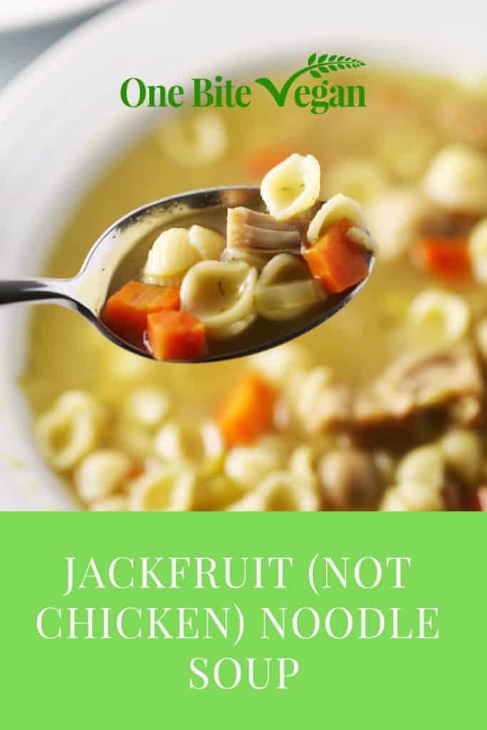Jackfruit (not chicken) noodle soup, lovingly created for you by One Bite Vegan