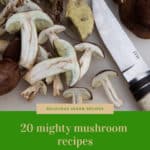 20 Mighty Mushroom Recipes curated by One Bite Vegan