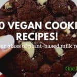 20 Vegan Cookie Recipes