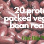 20 vegan bean recipes
